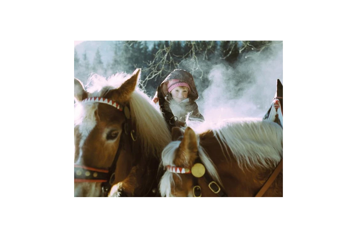 Frühstückspension: Ringlerhof