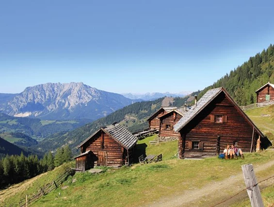 Frühstückspension: Ringlerhof