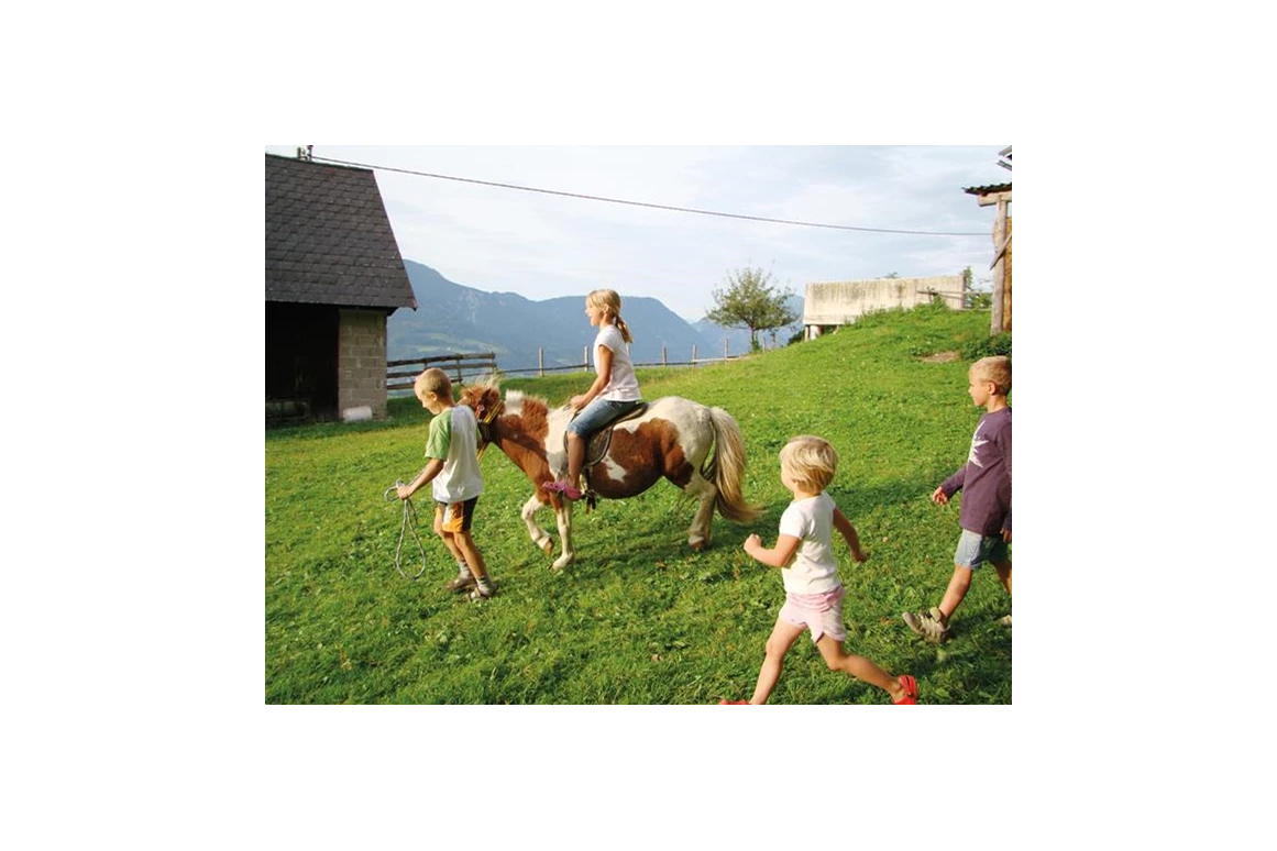 Frühstückspension: Ringlerhof