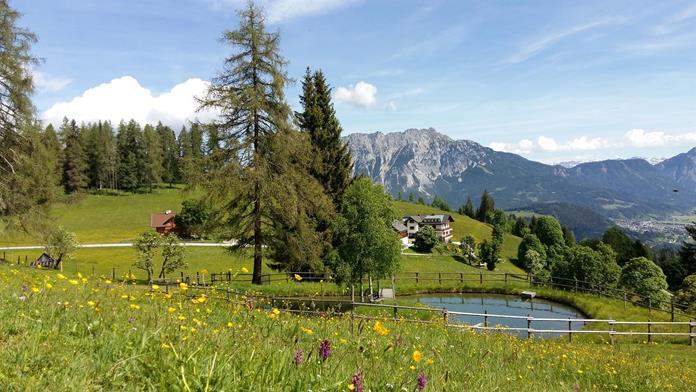Frühstückspension: Kirchbichlerhof