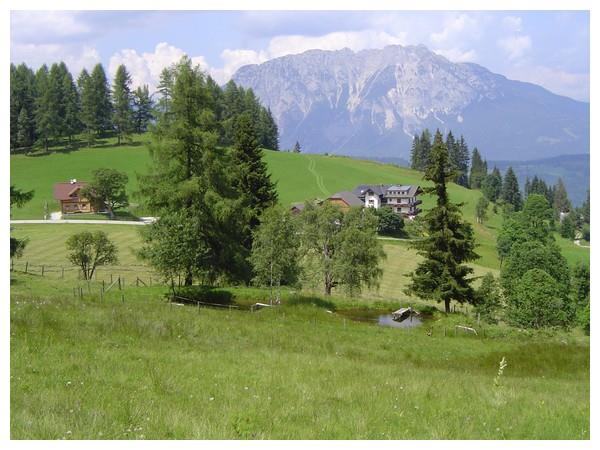 Frühstückspension: Kirchbichlerhof