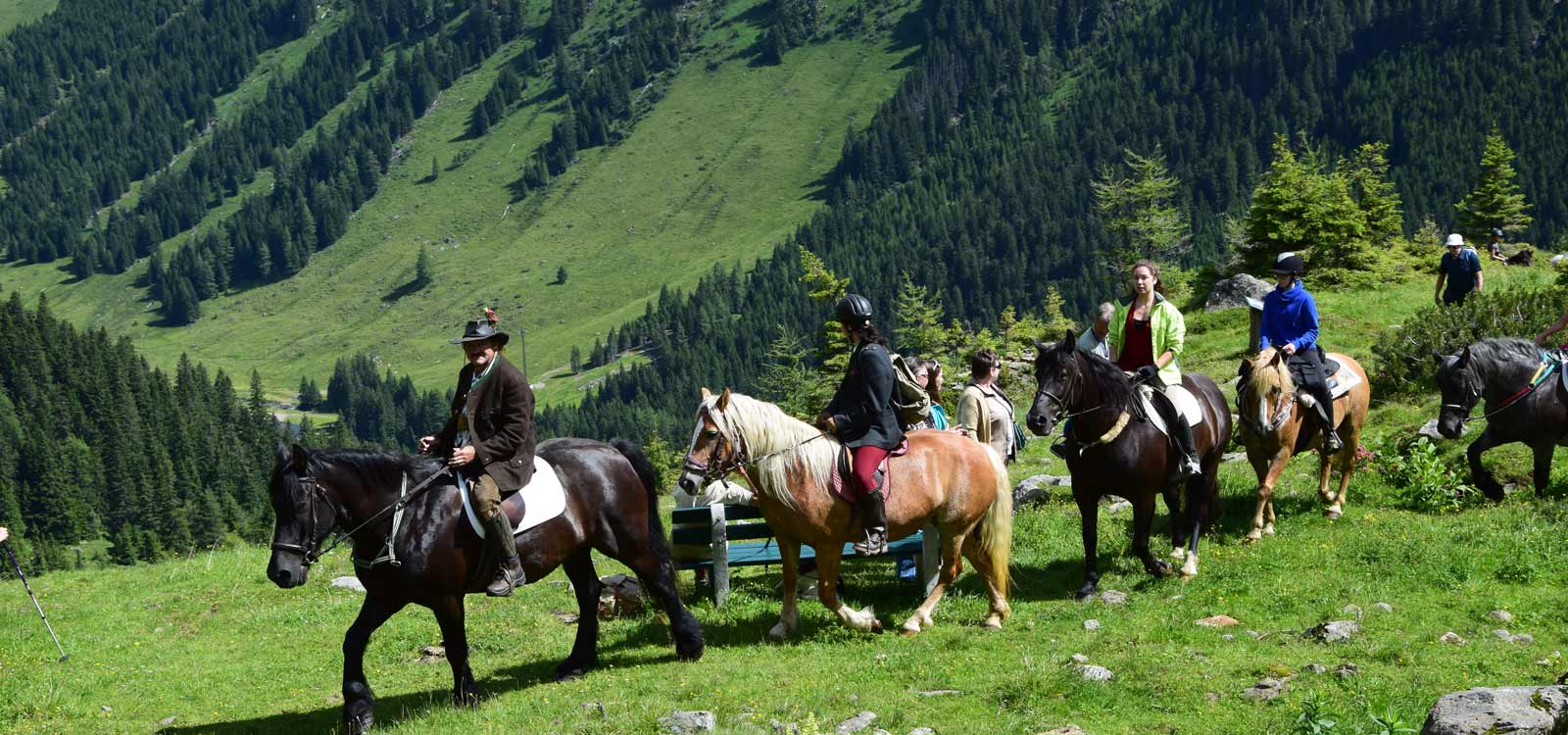 Pensionen - WLAN - Bad Mitterndorf - Hotel Pension Camping Pürcherhof
