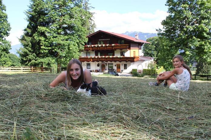 Frühstückspension: Pension Sonnwendhof