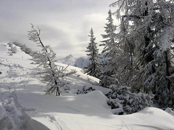 Frühstückspension: Pension Alpenglühn