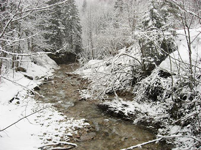 Frühstückspension: Pension Alpenglühn