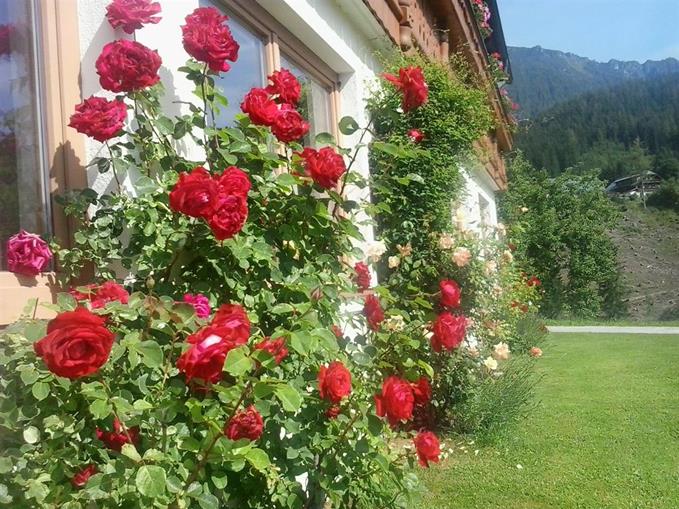 Frühstückspension: Landurlaub Trillerhof