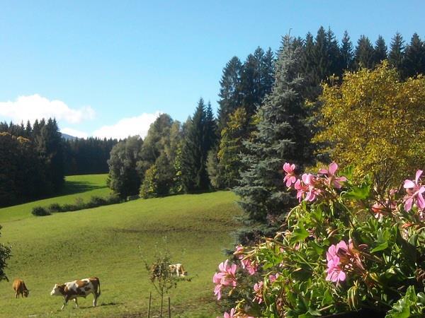 Frühstückspension: Landurlaub Trillerhof