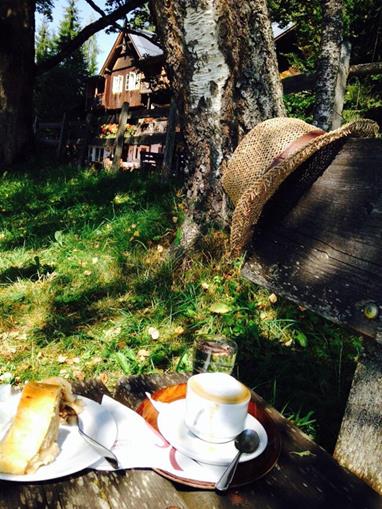 Pensionen - Garten - Hallstatt - Pension Waldhof