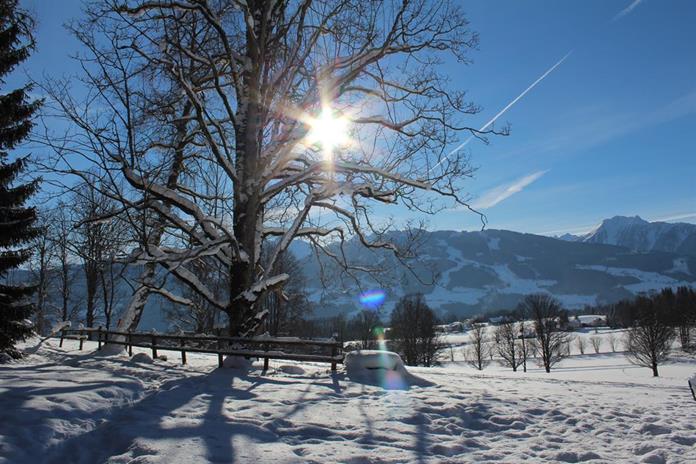 Frühstückspension: Pension Waldhof