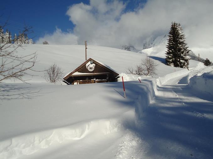 Frühstückspension: Greimelbacherhof