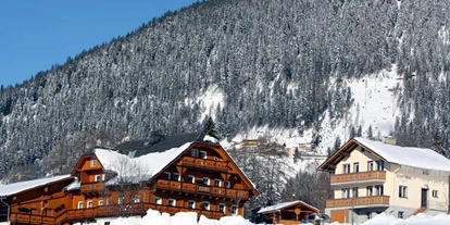 Pensionen - Ramsau am Dachstein - Der Rührlehnerhof - Urlaub am Bauernhof