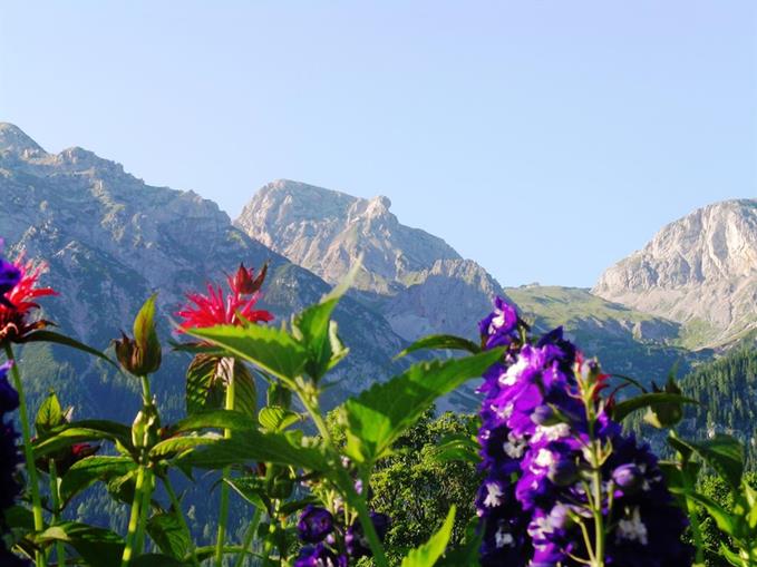 Frühstückspension: Möslehnerhof