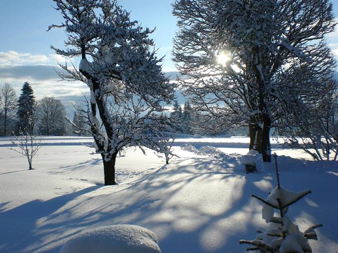 Frühstückspension: Möslehnerhof