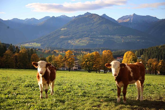 Frühstückspension: Stoffenbauer