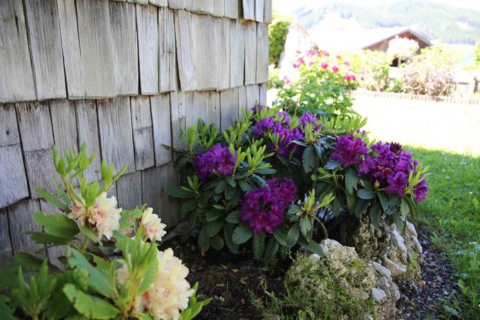 Frühstückspension: Stoffenbauer