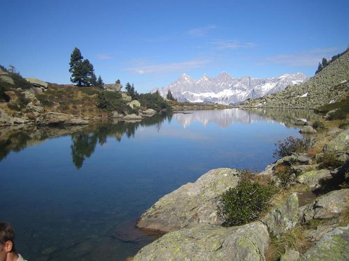 Frühstückspension: Steinbauer