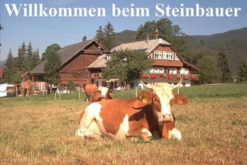 Frühstückspension: Steinbauer