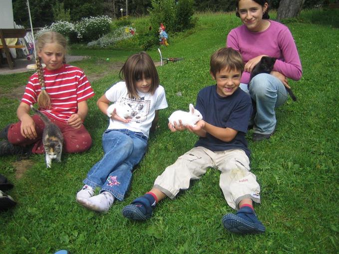 Frühstückspension: Steinbauer