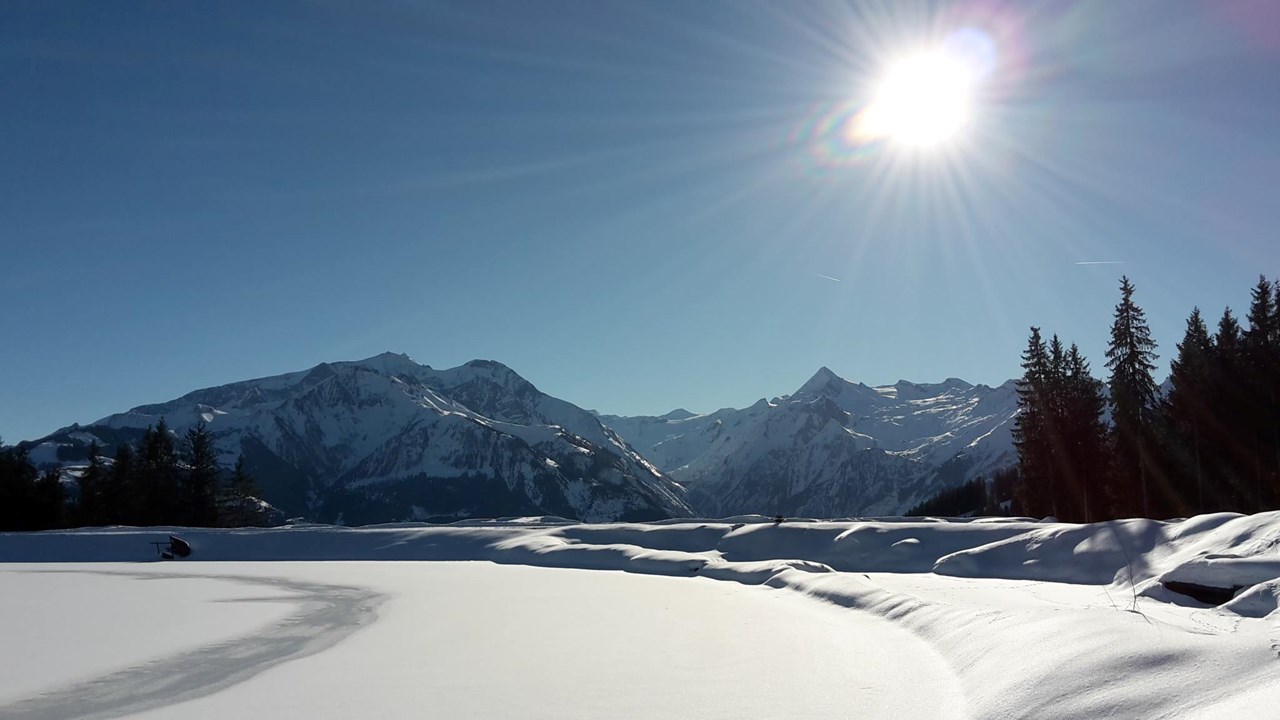 Haus Wilhelmina, Ferienwohnungen & Appartements Ausflugsziele Schmittenhöhe
