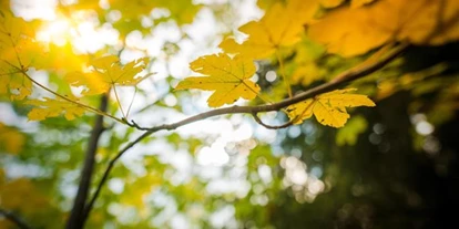 Pensionen - Ramsau am Dachstein - Bio-Landhaus Heimat