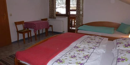 Pensionen - Hunde: erlaubt - Ramsau am Dachstein - Hollererhof