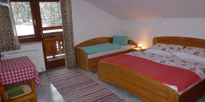 Pensionen - Hunde: erlaubt - Ramsau am Dachstein - Hollererhof