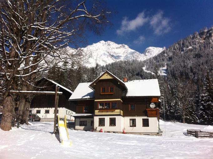 Frühstückspension: Hollererhof