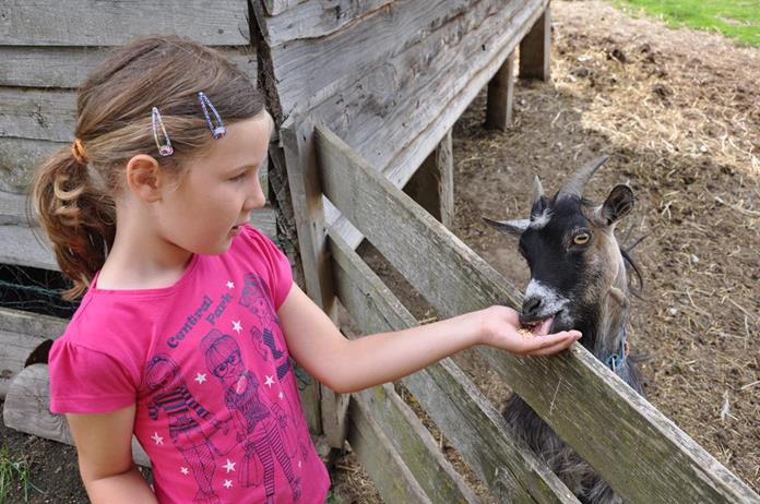 Frühstückspension: Tritscherhof