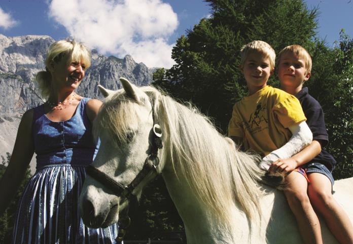 Frühstückspension: Ederhof