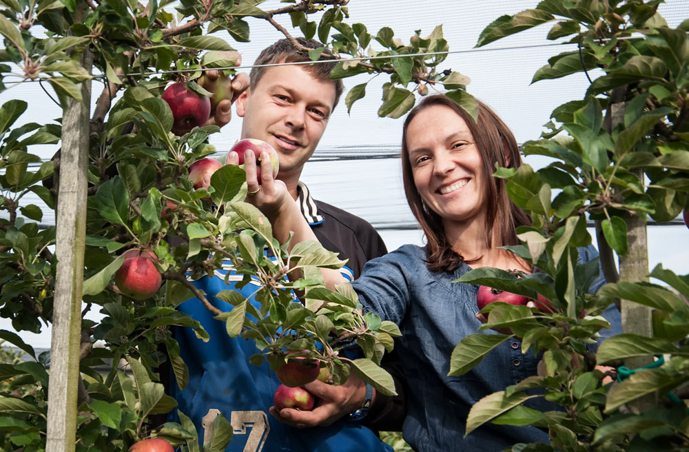 Frühstückspension: Weinbauernhof Amtmann