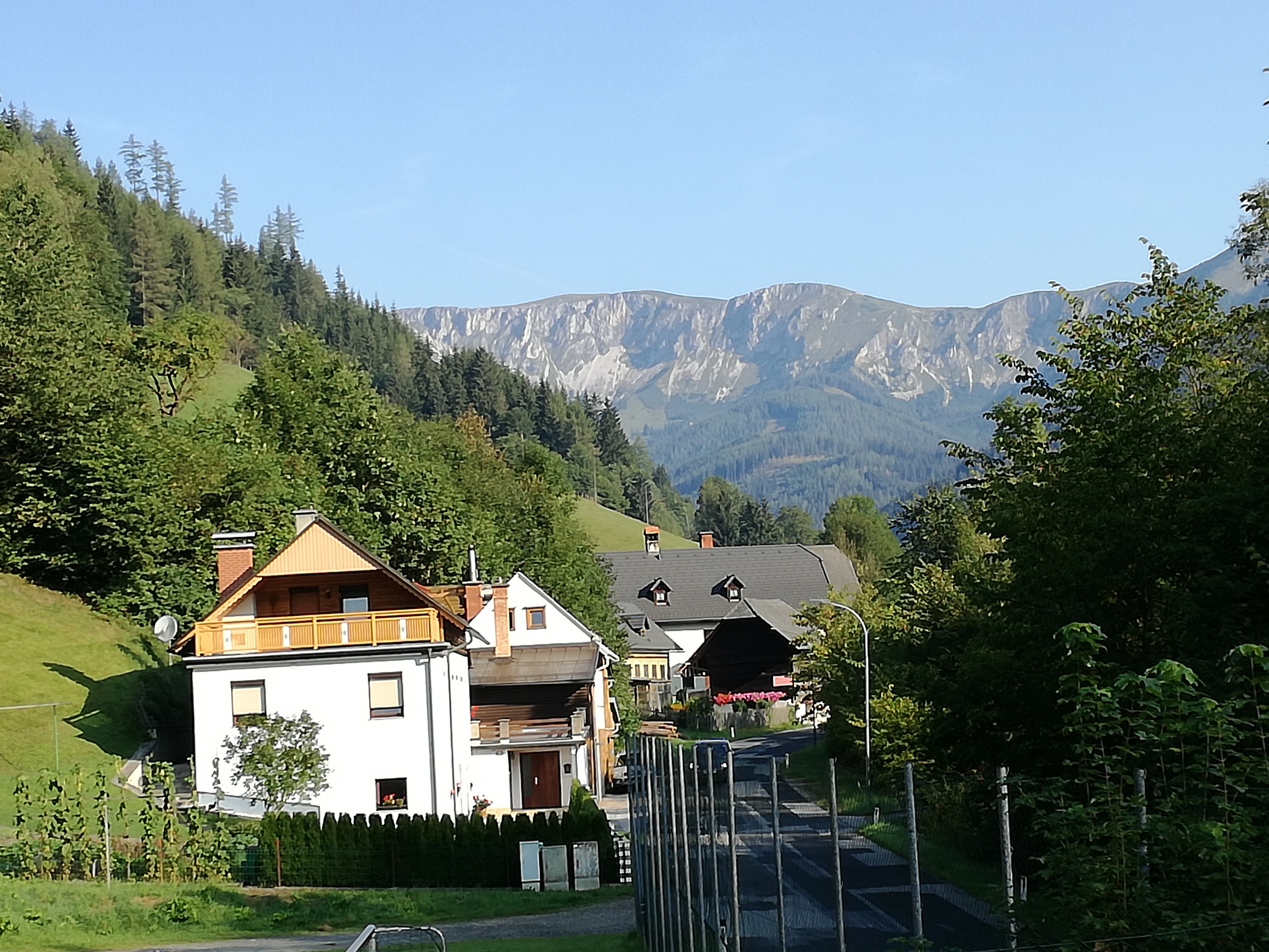 Frühstückspension: Blick vom "Familienzimmer" auf die Brunnalm - Hohe Veitsch - Frühstückspension Hermine Fraiß