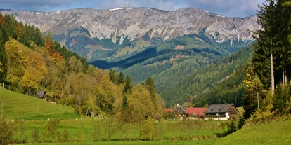 Pensionen - WLAN - Kapfenberg - Wir freuen uns auf Ihr Kommen! - Frühstückspension Hermine Fraiß