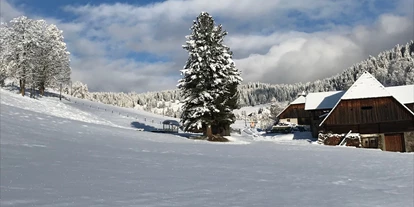 Pensionen - Restaurant - Wohlfühlpension Kreischberg/Egger-Feiel
