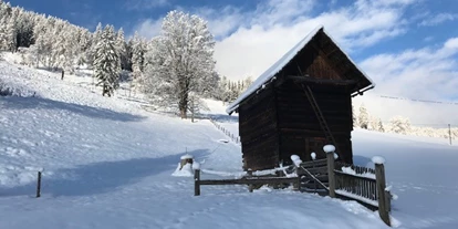 Pensionen - Restaurant - Wohlfühlpension Kreischberg/Egger-Feiel