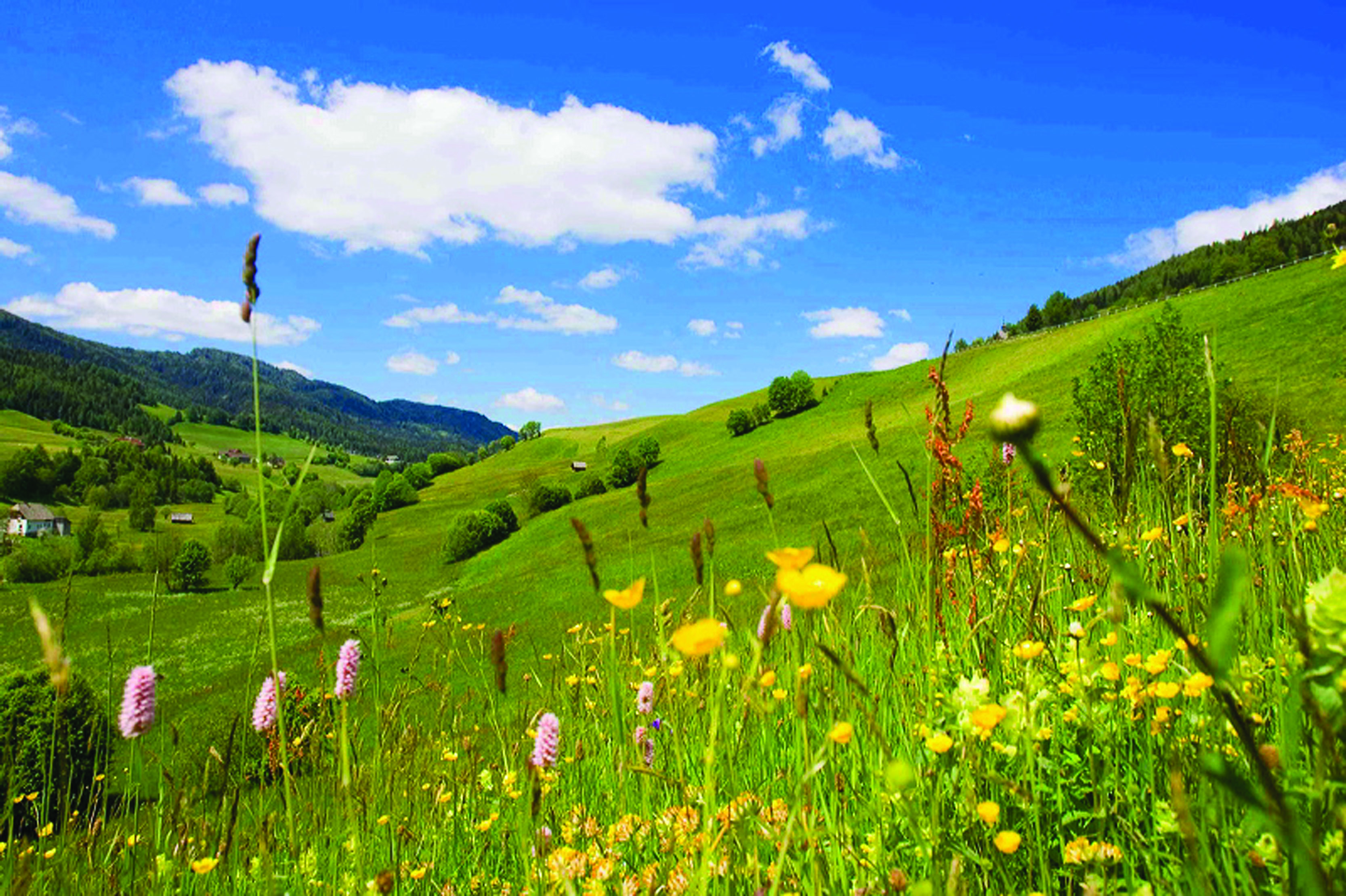 Frühstückspension: Wohlfühlpension Kreischberg/Egger-Feiel