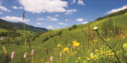 Pensionen - Restaurant - Wohlfühlpension Kreischberg/Egger-Feiel