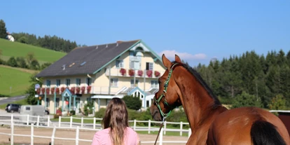 Pensionen - Restaurant - Unser Reitplatz liegt direkt vor dem Haus.  - Das Leitner Home&Horse (Narnhoferwirt)