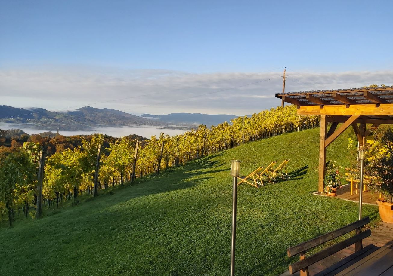 Pensionen - Arnfels - Weingut Kröll