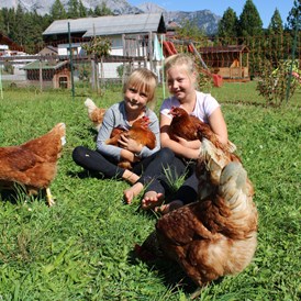 Frühstückspension: Unsere Bio-Hühner - Pension Wagnerhof