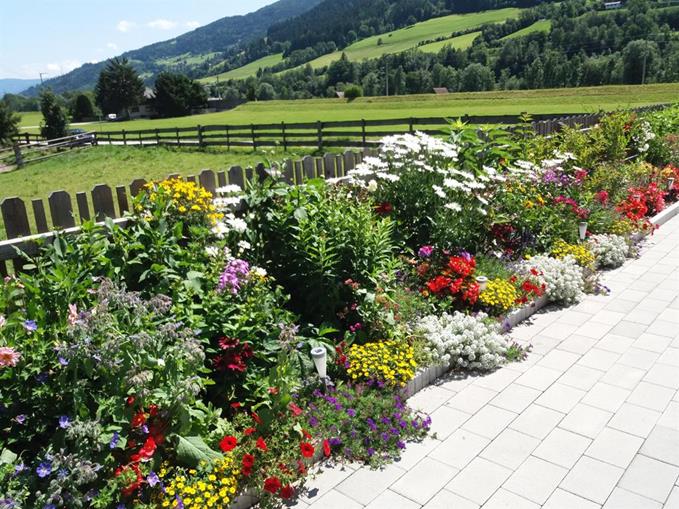 Frühstückspension: Haus Erlbacher