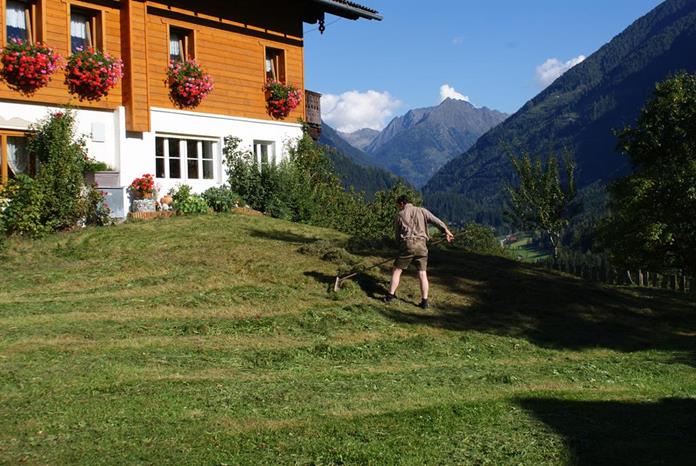 Frühstückspension: Stammerhof