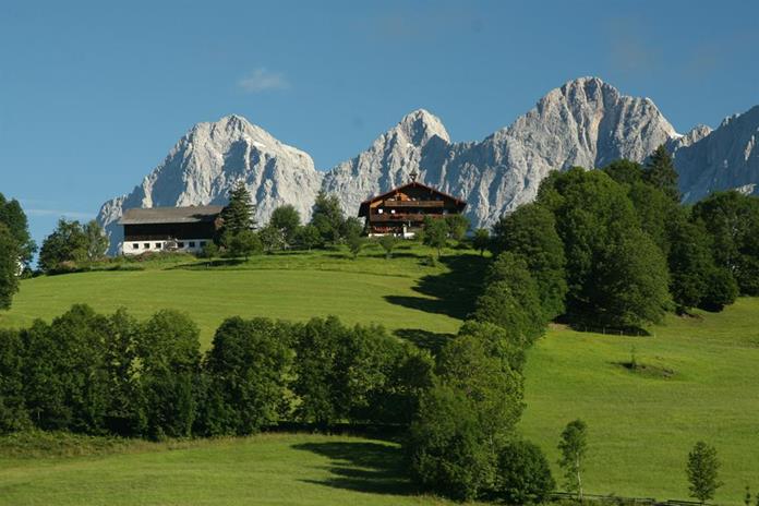 Frühstückspension: Stammerhof