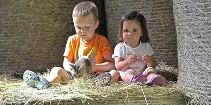 Pensionen - Hunde: erlaubt - Ramsau am Dachstein - Kerschbaumerhof
