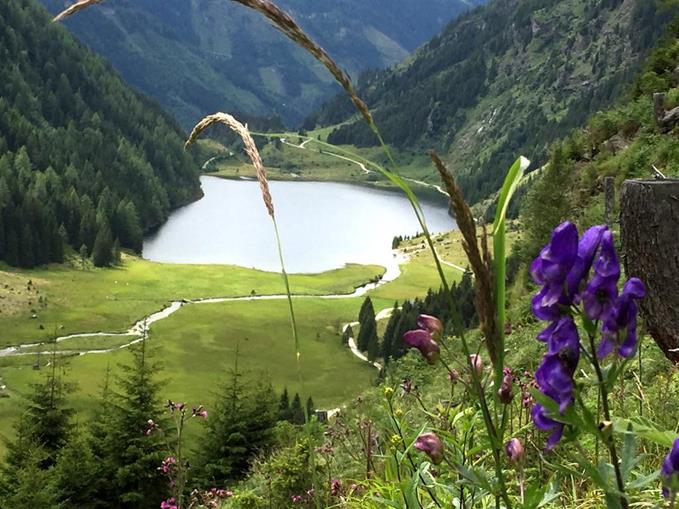 Frühstückspension: Kerschbaumerhof