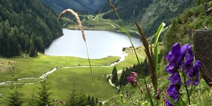 Pensionen - Hunde: erlaubt - Ramsau am Dachstein - Kerschbaumerhof