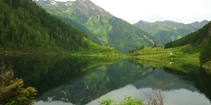 Pensionen - Hunde: erlaubt - Ramsau am Dachstein - Kerschbaumerhof