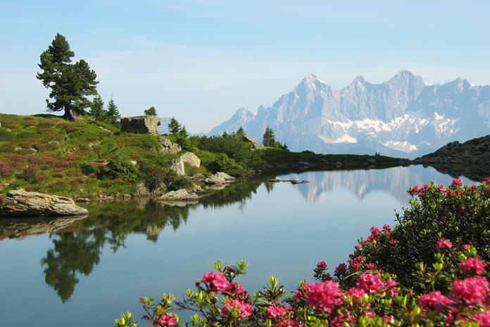 Frühstückspension: Kerschbaumerhof