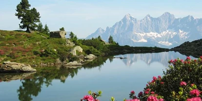 Pensionen - Hunde: erlaubt - Ramsau am Dachstein - Kerschbaumerhof