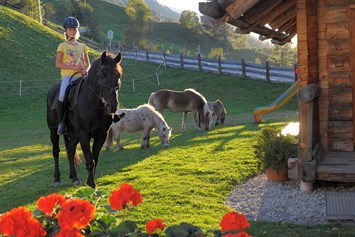 Frühstückspension: Pony und Haflingerreiten im Sommer - Hotel-Pension Bruckreiterhof
