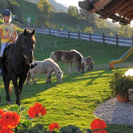 Frühstückspension: Pony und Haflingerreiten im Sommer - Hotel-Pension Bruckreiterhof